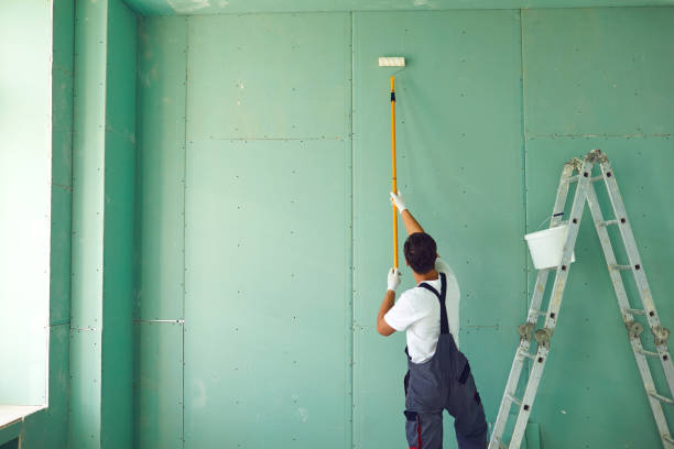 Professional Mold Removal in Draper, UT